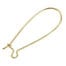 Gold Plated Earring Hooks