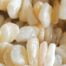 Natural Colour Shell Chip Stones