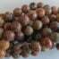 Leopard Skin Jasper Gemstones