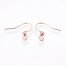 Rose Gold Stainless Steel Earring Hooks