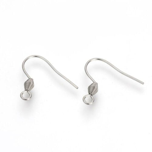 Stainless Steel Earring Hooks