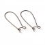 Antique Bronze Earring Hooks