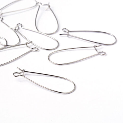 Platinum Silver Earring Hooks