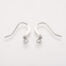 French Silver Earring Hooks