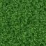 Lime MIYUKI Japanese Seed Beads