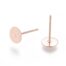Rose Gold Stud Earrings