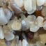 Botswana Agate Chip Stones