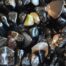 Black Agate Chip Stones
