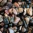 Rhodonite Chip Stones