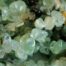 Prehnite Chip Stones