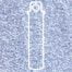 Miyuki Delica Light Sky Blue Seed Beads