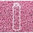 Duracoat Galvanized Pink Seed Beads