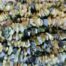 Dark Yellow Howlite Chip Stones