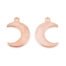 Half Moon Charm