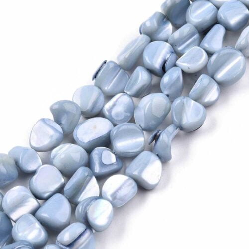 Trochus Shell Beads Dyed Light Blue