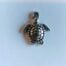 Tortoise Pendant
