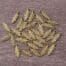 Gold Plated Feather Pendant Charm