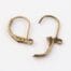 Antique Bronze Lever Back Earring Hooks