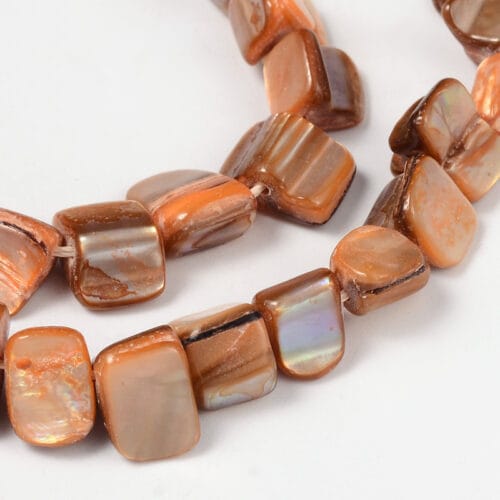 shell beads