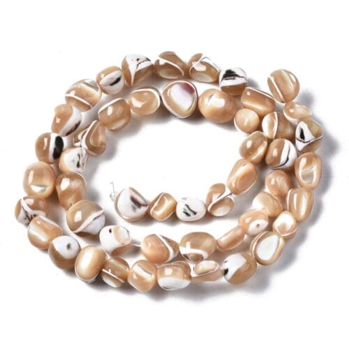 Shell Beads
