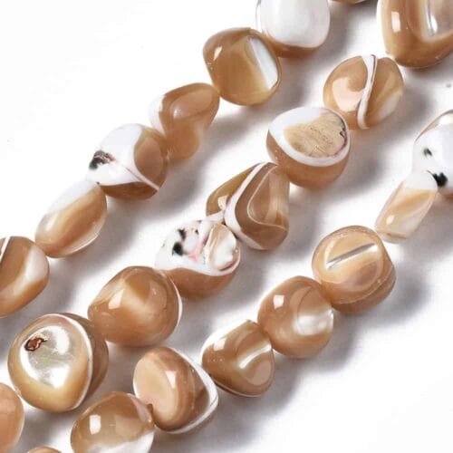 Brown Trochus Shell Bead Nuggets