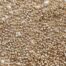 Lustre Light Golden Seed Beads