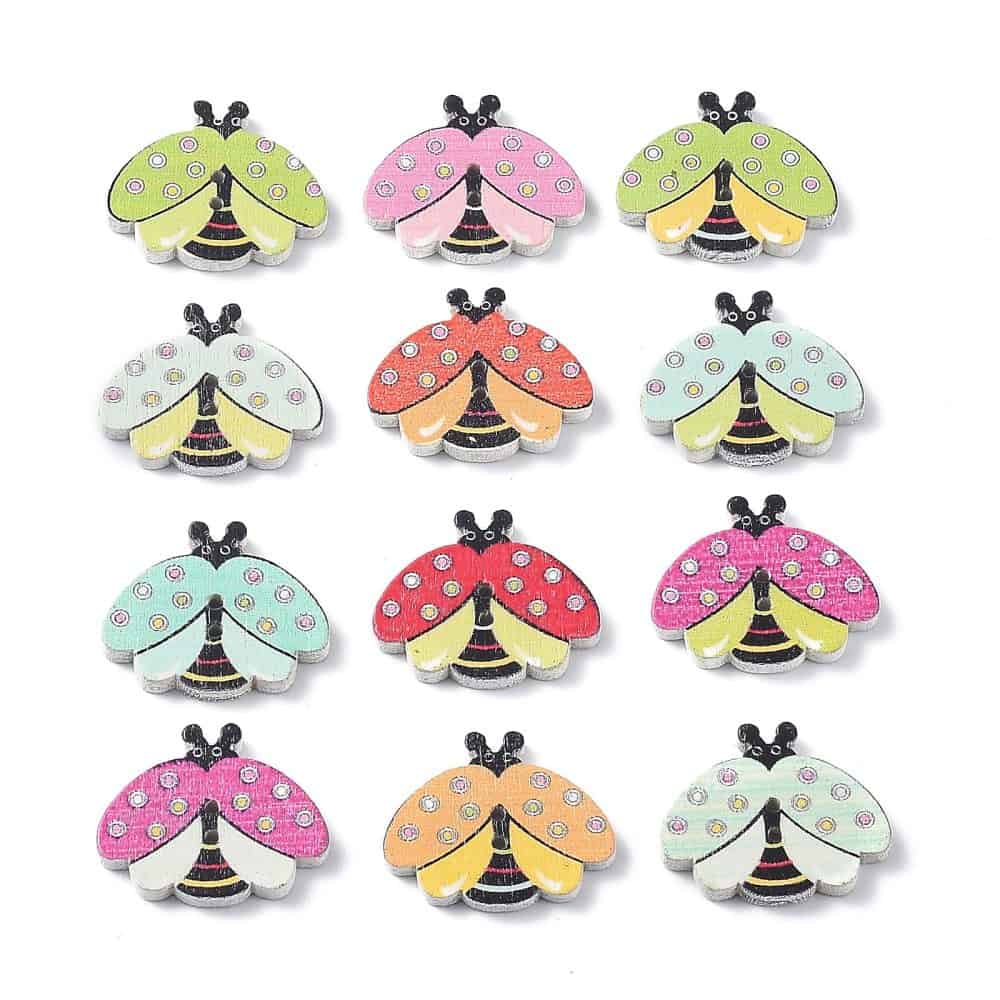 Two Hole Beetle Wood Button