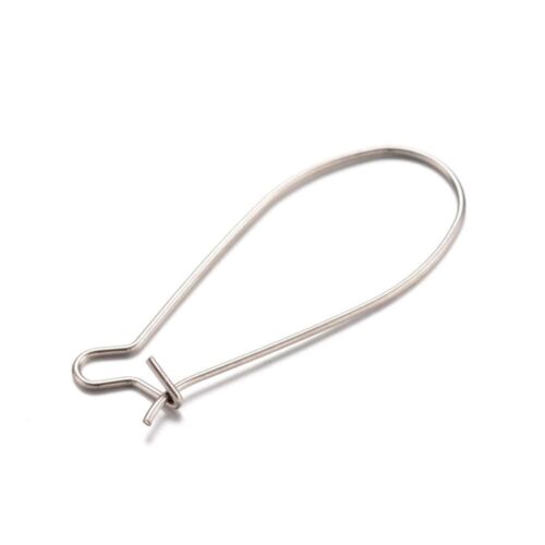 Stainless Steel Silver Earring Hooks